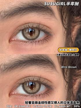 半年抛 susugirl 撒哈拉 直径14.2mm着色13.6mm