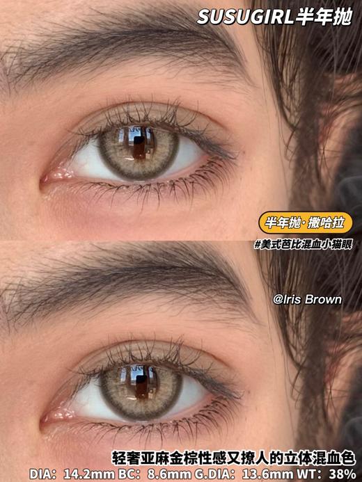 半年抛 susugirl 撒哈拉 直径14.2mm着色13.6mm 商品图0