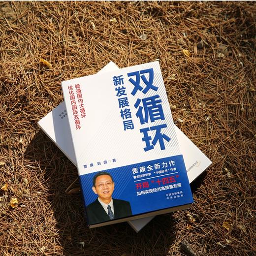 (仓发) 双循环新发展格局 2021年度中国好书获奖作品/中译出版社/贾康，刘薇/9787500166290 商品图4