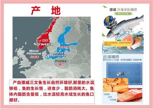 AY深海三文鱼超值养生组 宜佳 商品图1