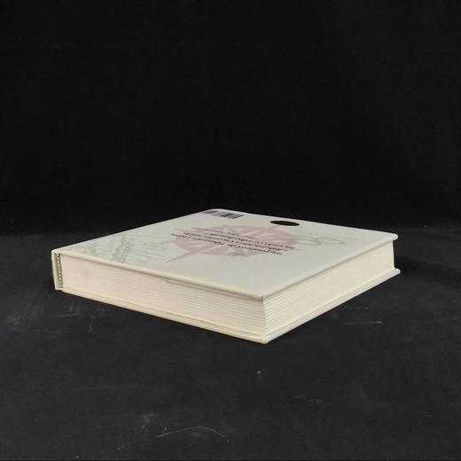 格林佛游记 8幅精美彩色插图 精装大32开 商品图2