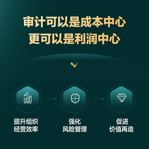 增值型内部审计：提升经营效率、强化风险管理、促进价值再造 商品图1