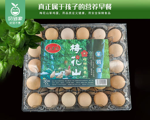 【预售-12月29日配送】山里跑梅花山竹林散养笨鸡蛋/1盒（30枚，共约1250g）生产日期：12月26日左右 商品图5