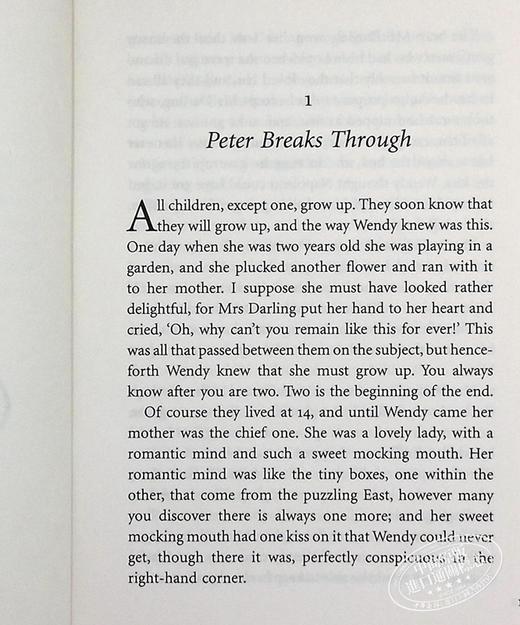 【中商原版】小飞侠彼得潘 毛边书 英文原版 Peter Pan Puffin Chalk J M Barrie 詹姆斯巴里 儿童文学百年经典童话故事 商品图6