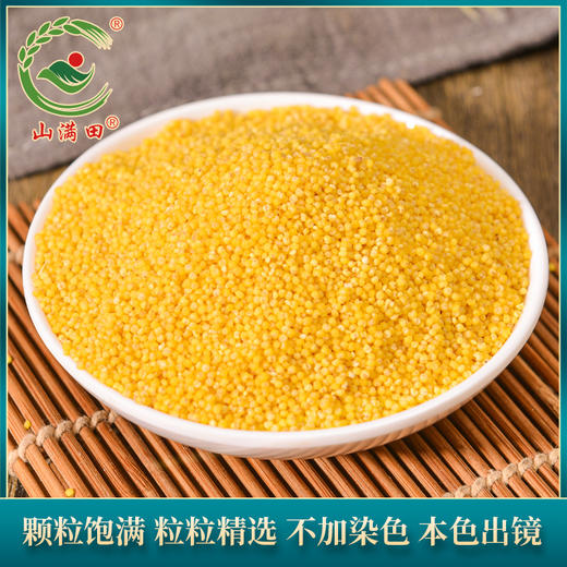 「5斤装！内蒙古黄小米」2.5千克双层真空装月子米脂黄小米粮油米面 商品图1