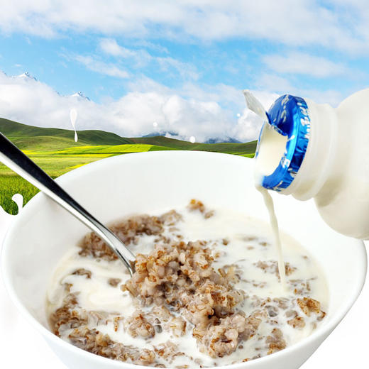 高寒藏血麦麦片 原味纯麦片 谷物 高原种植 商品图1