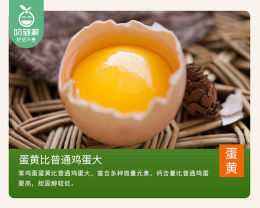 【预售-12月29日配送】山里跑梅花山竹林散养笨鸡蛋/1盒（30枚，共约1250g）生产日期：12月26日左右 商品图2