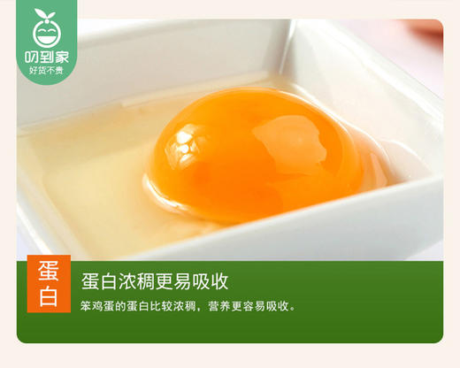 【预售-12月29日配送】山里跑梅花山竹林散养笨鸡蛋/1盒（30枚，共约1250g）生产日期：12月26日左右 商品图1