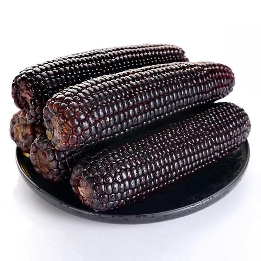 咔萌兔8根新鲜香糯黑玉米真空包装紫玉米CORN甜糯黑糯卡山西忻州 商品图1