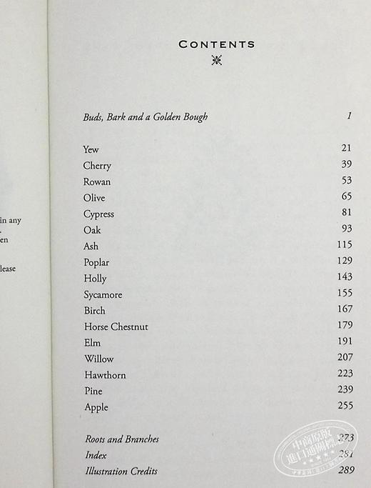 预售 【中商原版】树的历史 英文原版 The Long, Long Life of Trees 生态环境 Fiona Stafford 商品图5