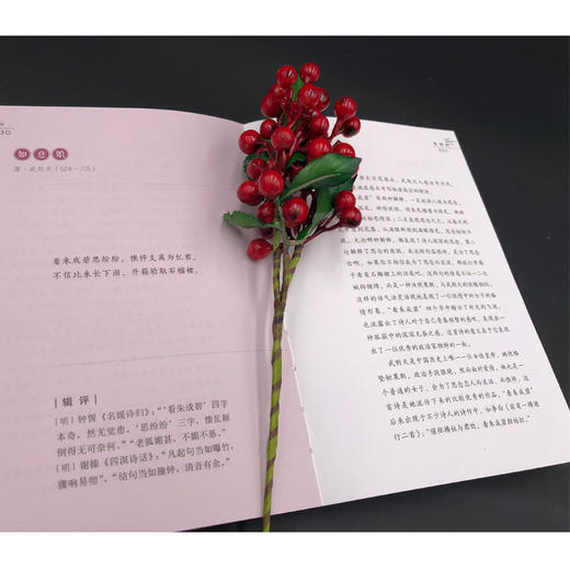 (仓发) 小磨诗坊 爱情/崇文书局/王兆鹏，陈紫茜/9787540351038 商品图4