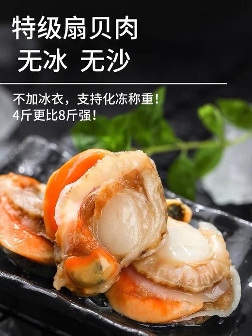 冰鲜【顺丰包邮】海鲜礼盒 中秋送礼新鲜冷冻（500g*4） 商品图3