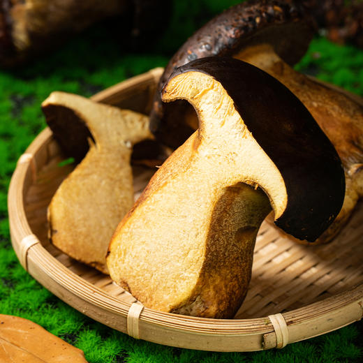 云南黑牛肝菌 | 来自高原自然生态 新鲜采摘 个大饱满肉质肥厚 脆嫩爽口有嚼劲 商品图6