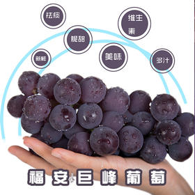 福安山田-巨峰提子4斤装/1箱（3串）| 水果