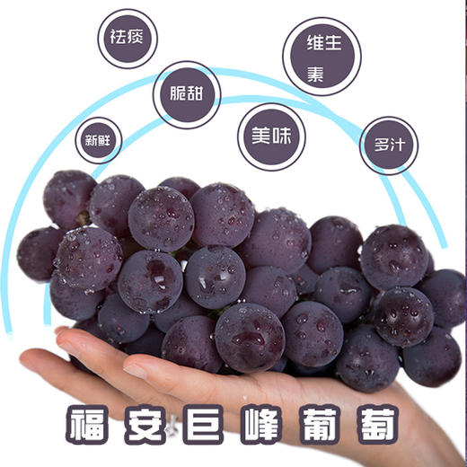 福安山田-巨峰提子4斤装/1箱（3串）| 水果 商品图0