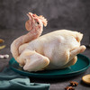 天农清远鸡老母鸡900g 生态散养老母鸡养足365天 家庭煲汤滋补 孕妇月子煲汤 商品缩略图2