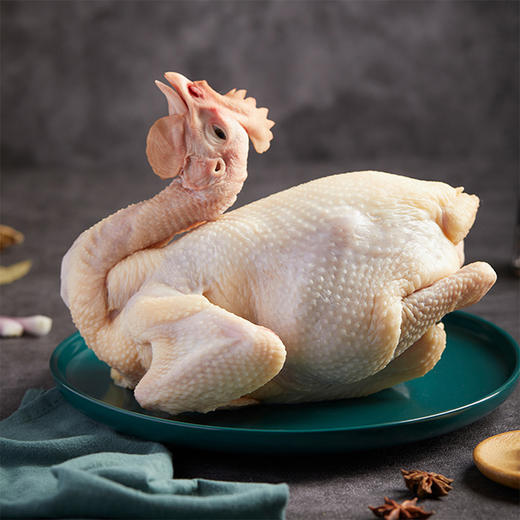 天农清远鸡老母鸡900g 生态散养老母鸡养足365天 家庭煲汤滋补 孕妇月子煲汤 商品图2