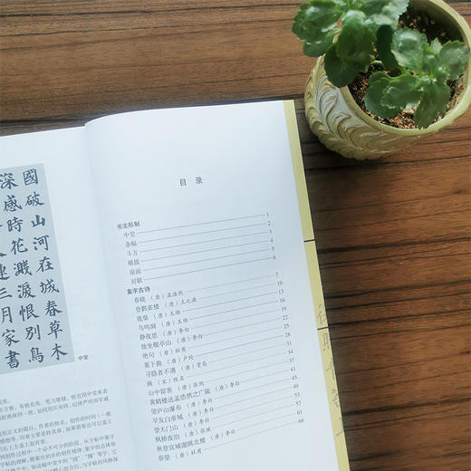 颜体集字古诗 颜真卿多宝塔碑 商品图1