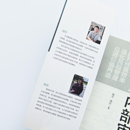 增值型内部审计：提升经营效率、强化风险管理、促进价值再造 商品图3