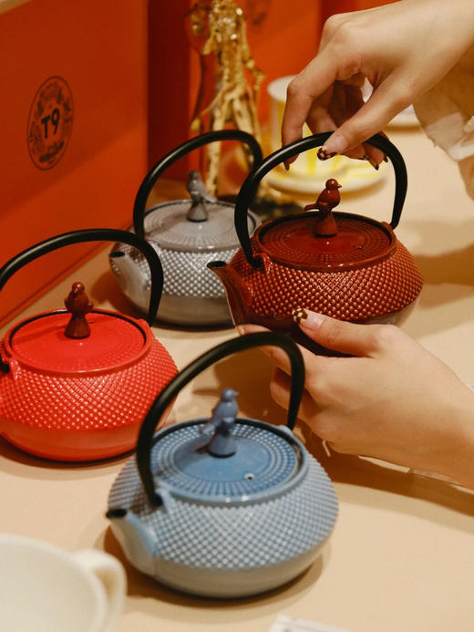 T9中性珐琅彩色铁壶-勃艮第红W2401 商品图0