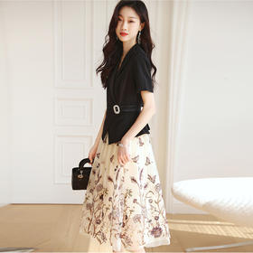 2022夏季新款职场气质轻奢高级感假两件轻薄纱刺绣连衣裙 HR-QSLG0211-3