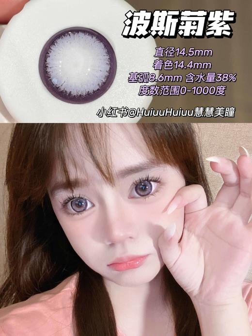 【店主实拍】波斯菊紫14.5mm 【年抛 0-1000度 无525/575 】 商品图0