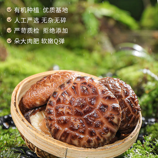 湖心泉有机花菇 古田特产冬菇香菇230g罐装 商品图1