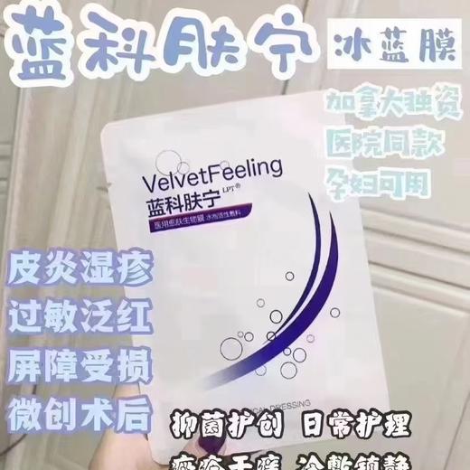 蓝科肤宁一盒(5片) 商品图0