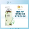 【中欧班列精选】日本蜜梨品牌沐浴露 蜜梨珍珠滋养 /珊瑚藻清爽沐浴露 500ml /瓶 商品缩略图5