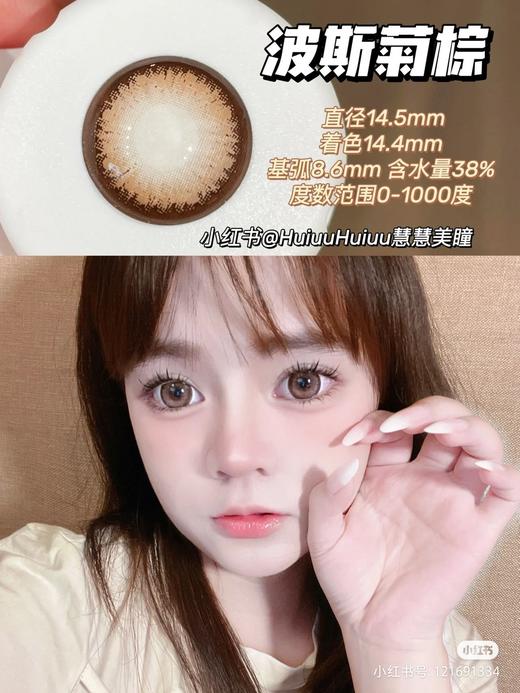 【店主实拍】波斯菊棕14.5mm 【年抛 0-1000度 无525/575 】 商品图0