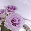 【AB级九星蓝狐多头玫瑰.第二件减10元】5支/份  长约60-65cm 商品缩略图3