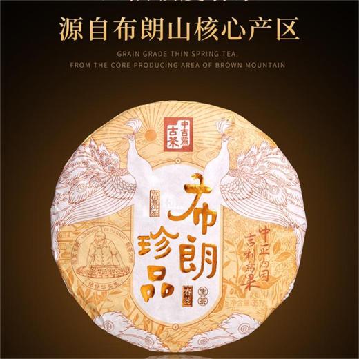 中吉号 布朗山乔木瘦春珍品茶 普洱生茶 357g/饼（天猫同款） 商品图0