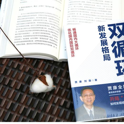 (仓发) 双循环新发展格局 2021年度中国好书获奖作品/中译出版社/贾康，刘薇/9787500166290 商品图7