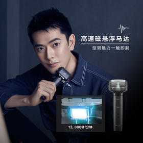 松下（Panasonic）剃须刀电动往复式男士干湿两剃全身水洗刮胡刀小锤子LM31 【金榜年度单品】小锤子-进口三刀头-白色