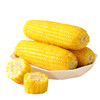现货【低脂】圣上壹品黄糯玉米棒玉米粒香甜糯东北黏苞米可拉丝真空 商品缩略图1
