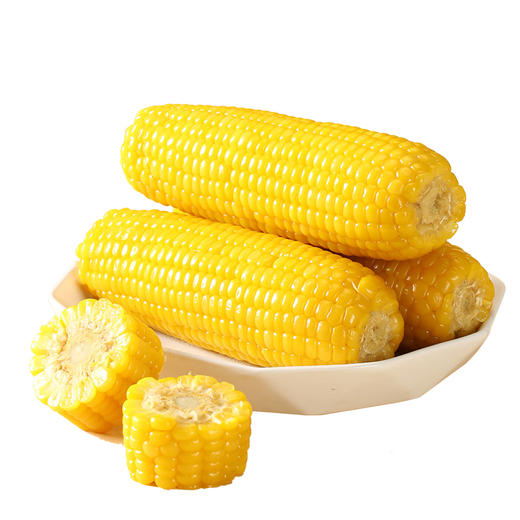 现货【低脂】圣上壹品黄糯玉米棒玉米粒香甜糯东北黏苞米可拉丝真空 商品图1