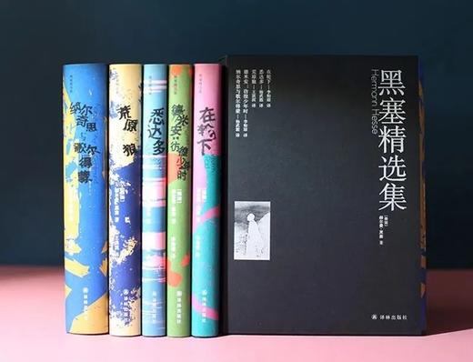 （6折包邮）黑塞精选集（悉达多+在轮下+荒原狼+德米安+纳尔奇思与歌尔得蒙）豆瓣高分译本） （套装全5册） 商品图0