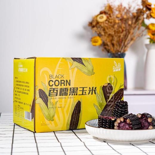 咔萌兔8根新鲜香糯黑玉米真空包装紫玉米CORN甜糯黑糯卡山西忻州 商品图0