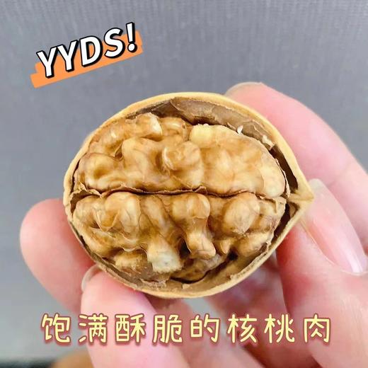 【纸皮核桃】✅皮薄如纸，俩手一掰就开，软妹子也能徒手捏开❗️口感酥脆，果仁大颗又饱满！😋越吃越停不下来，独立小包装方便携带🤩 商品图2