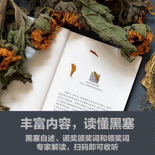 （6折包邮）黑塞精选集（悉达多+在轮下+荒原狼+德米安+纳尔奇思与歌尔得蒙）豆瓣高分译本） （套装全5册） 商品图2