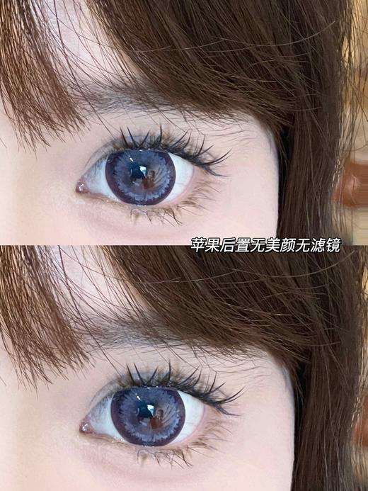 【店主实拍】波斯菊紫14.5mm 【年抛 0-1000度 无525/575 】 商品图3