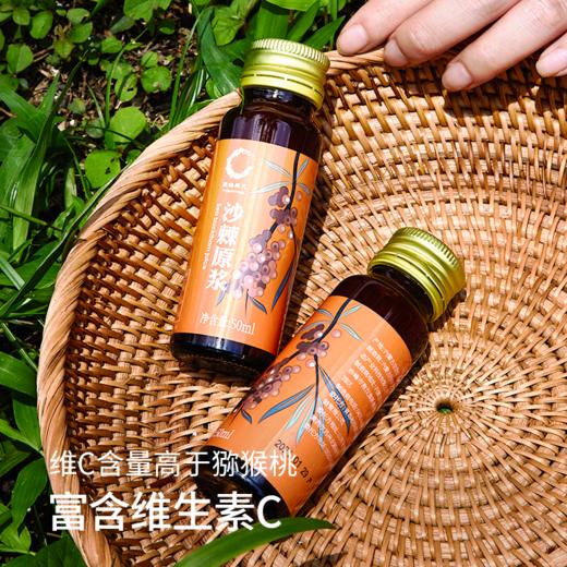 【内蒙原始主义有机沙棘原浆】每日一支 补充一天所需维生素C 沙漠之花出品【AA】 商品图5