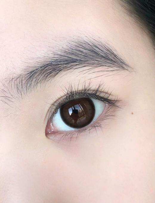 Arouge半年抛-软熊泥泥 商品图6