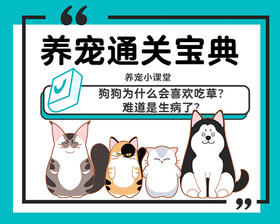 狗狗为什么会喜欢吃草？难道是生病了？