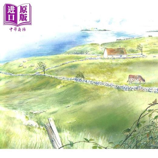 【中商原版】The Fog Catcher's Daughter 追雾的女孩 英文原版儿童精品绘本 动物故事 4到6岁 商品图3