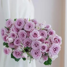 【AB级九星蓝狐多头玫瑰.第二件减10元】5支/份  长约60-65cm