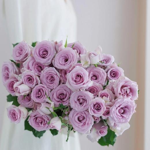 【AB级九星蓝狐多头玫瑰.第二件减10元】5支/份  长约60-65cm 商品图0