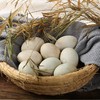 【恋潮+广西 • 北海 海鸭蛋】蛋白细嫩 爆油流沙 咸淡适宜 浓香蛋黄饱满 好吃不腻口 商品缩略图1