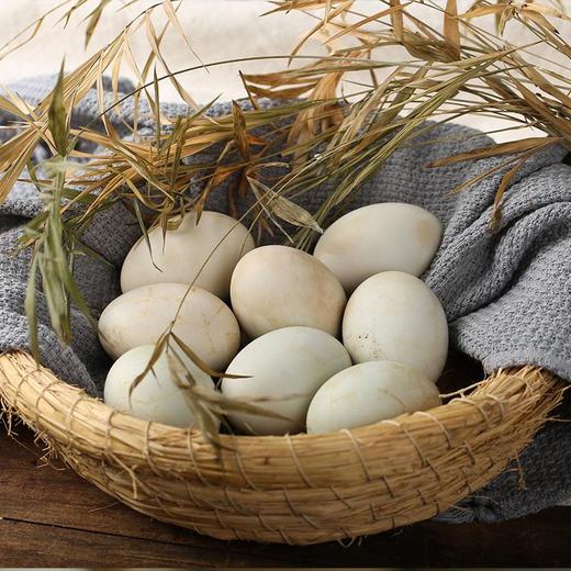 【恋潮+广西 • 北海 海鸭蛋】蛋白细嫩 爆油流沙 咸淡适宜 浓香蛋黄饱满 好吃不腻口 商品图1