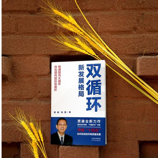 (仓发) 双循环新发展格局 2021年度中国好书获奖作品/中译出版社/贾康，刘薇/9787500166290 商品图2
